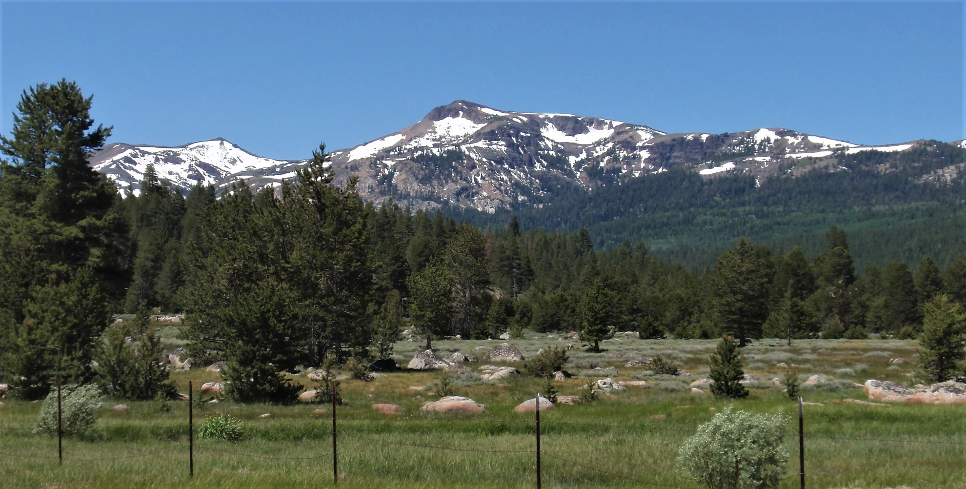 An image depicting the trail Pickett Peak Loop Trail and its surrounding area.
