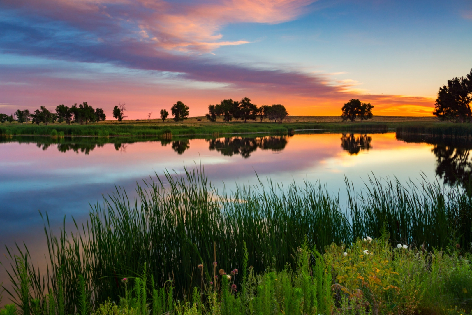 An image depicting the trail Ladora Lake Loop and its surrounding area.