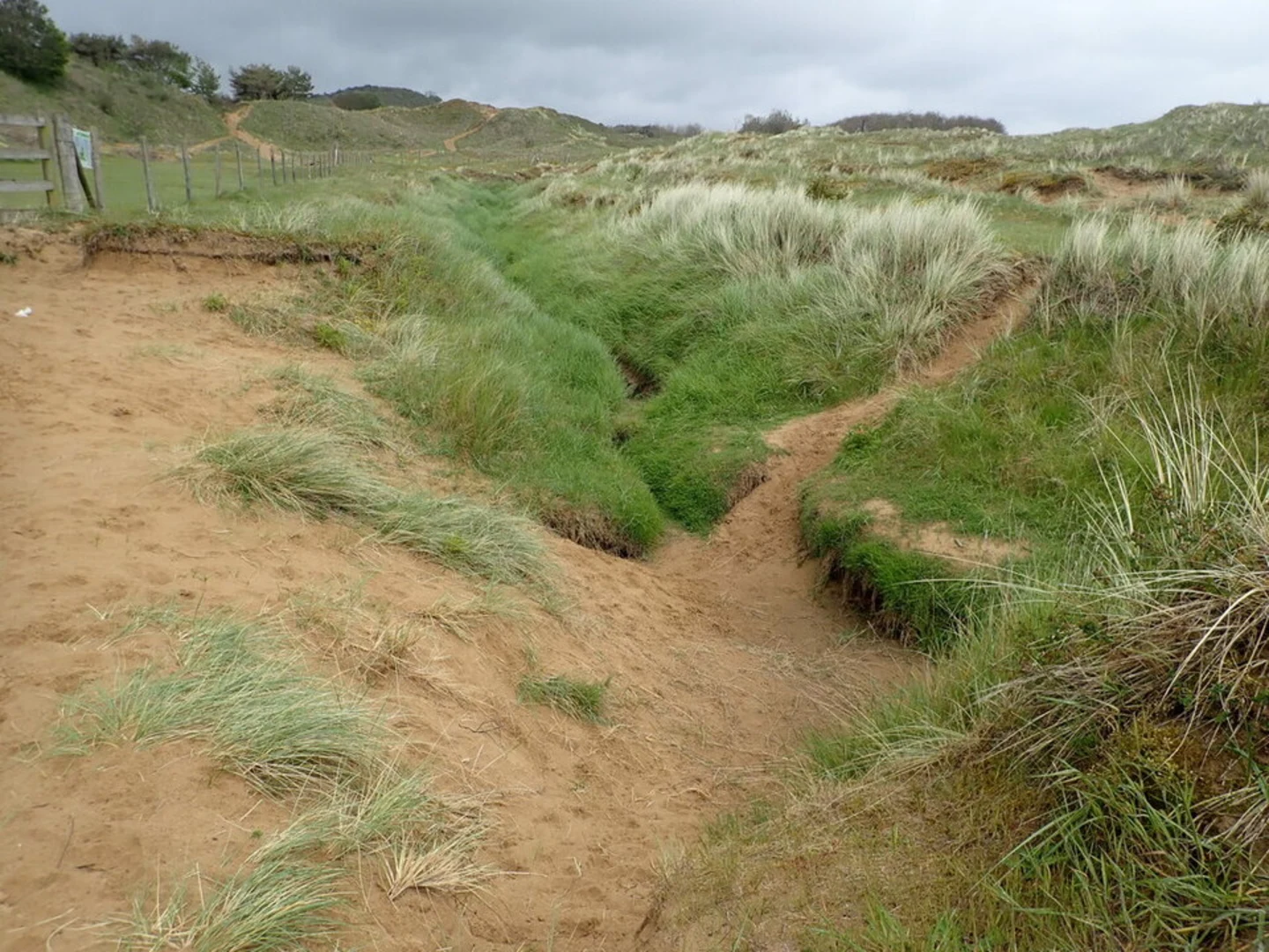An image depicting the trail Merthyr Mawr Sand Dunes Walk and its surrounding area.