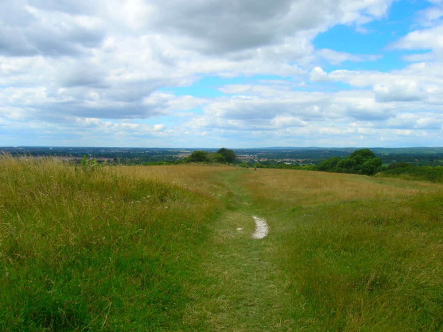 An image depicting the trail Angmering Loop and its surrounding area.