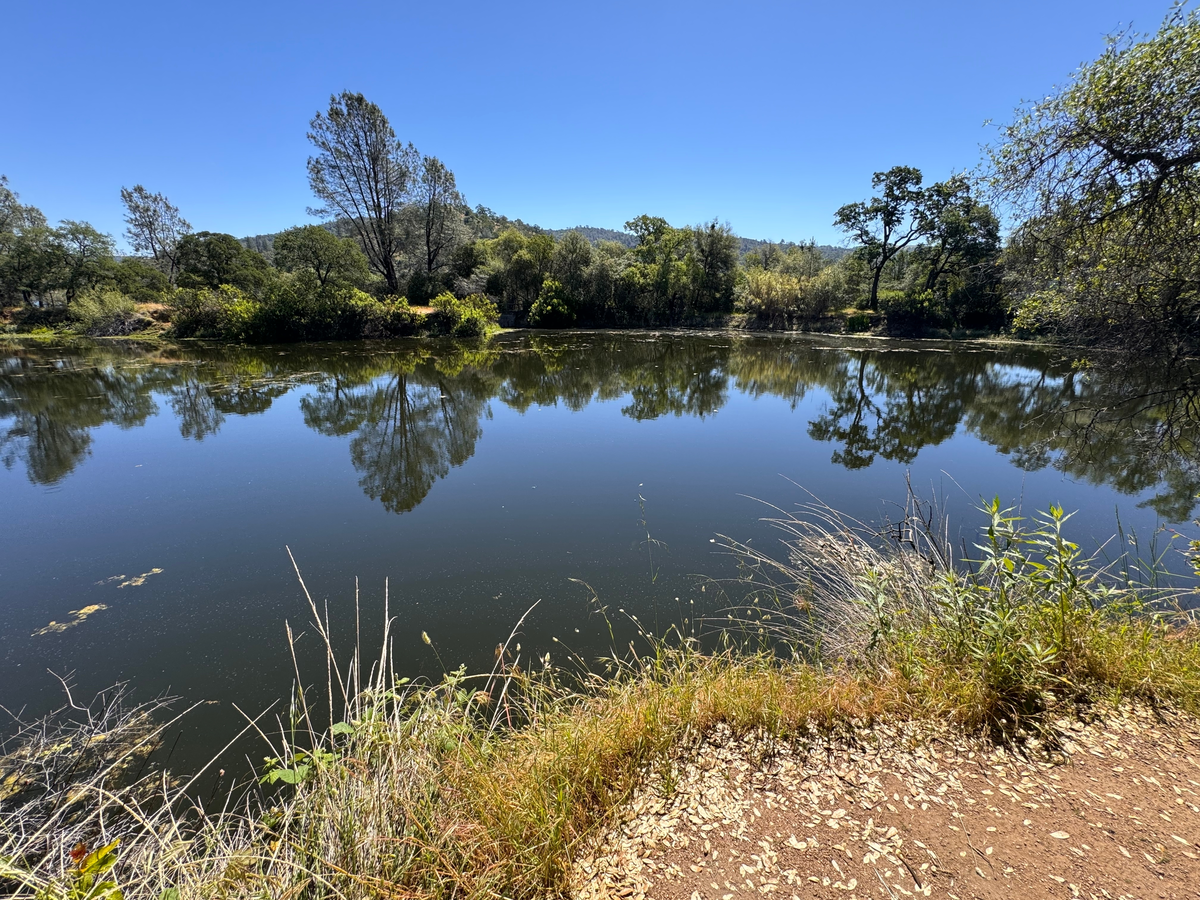 Avery's Pond - Pioneer Express Trail