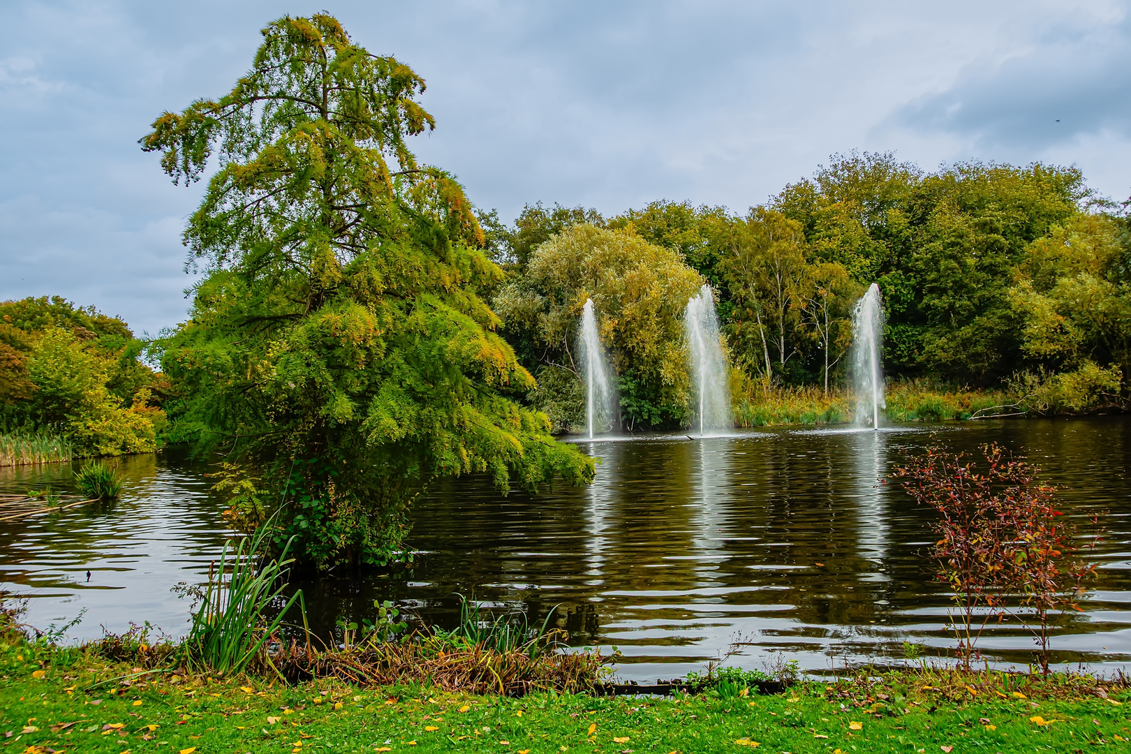 An image depicting the trail Speeltuin Amstelpark, Amstelrust and Museumlijn Loop and its surrounding area.