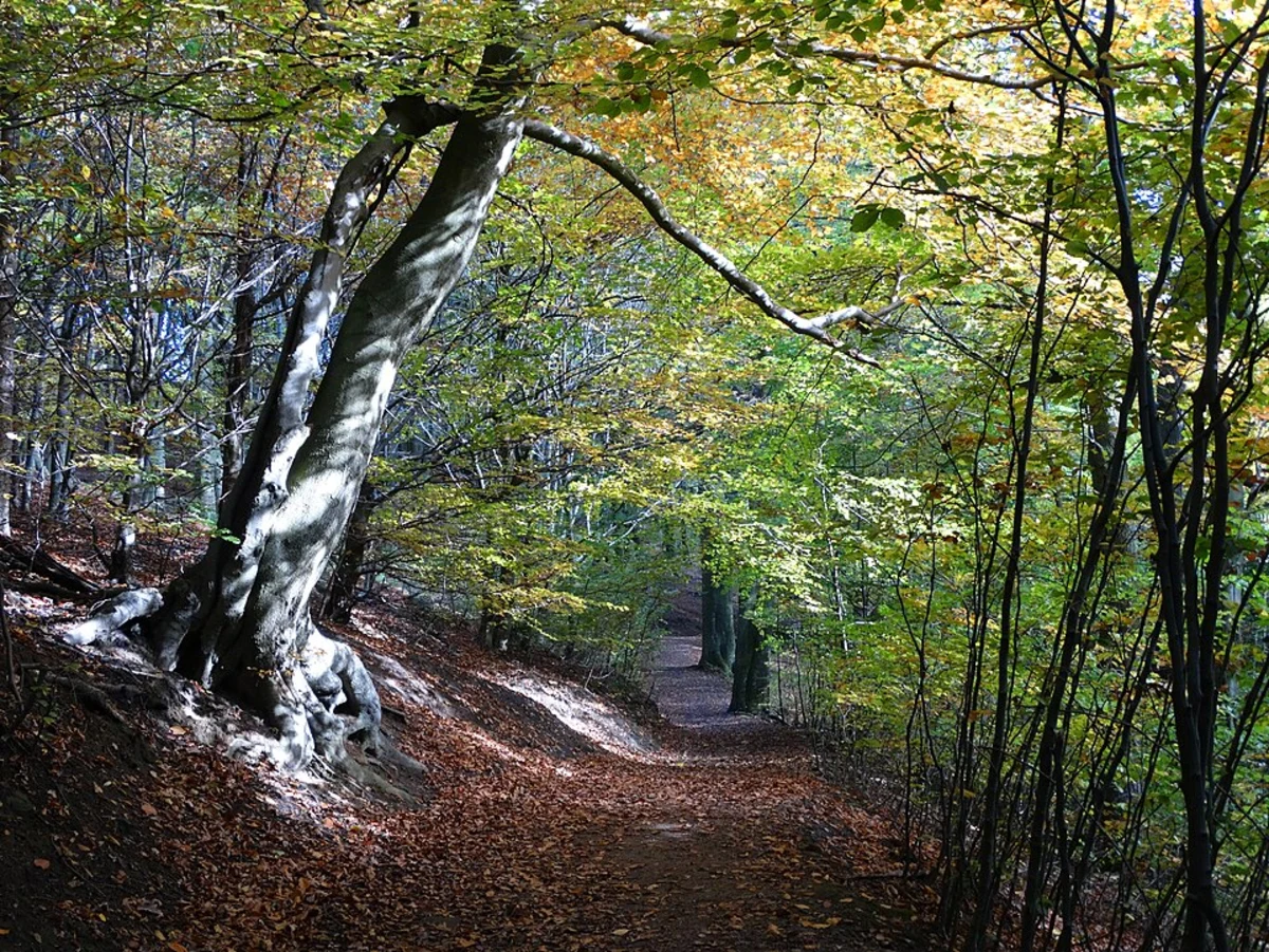 Ringinglow CIrcular Walk