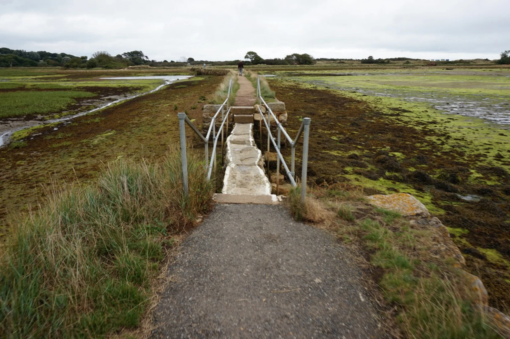 An image depicting the trail Ryde to Bembridge Coastal Walk and its surrounding area.