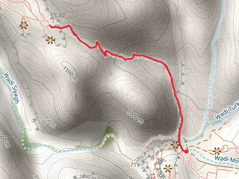 Monastery Trail (Ad-Deir Trail)