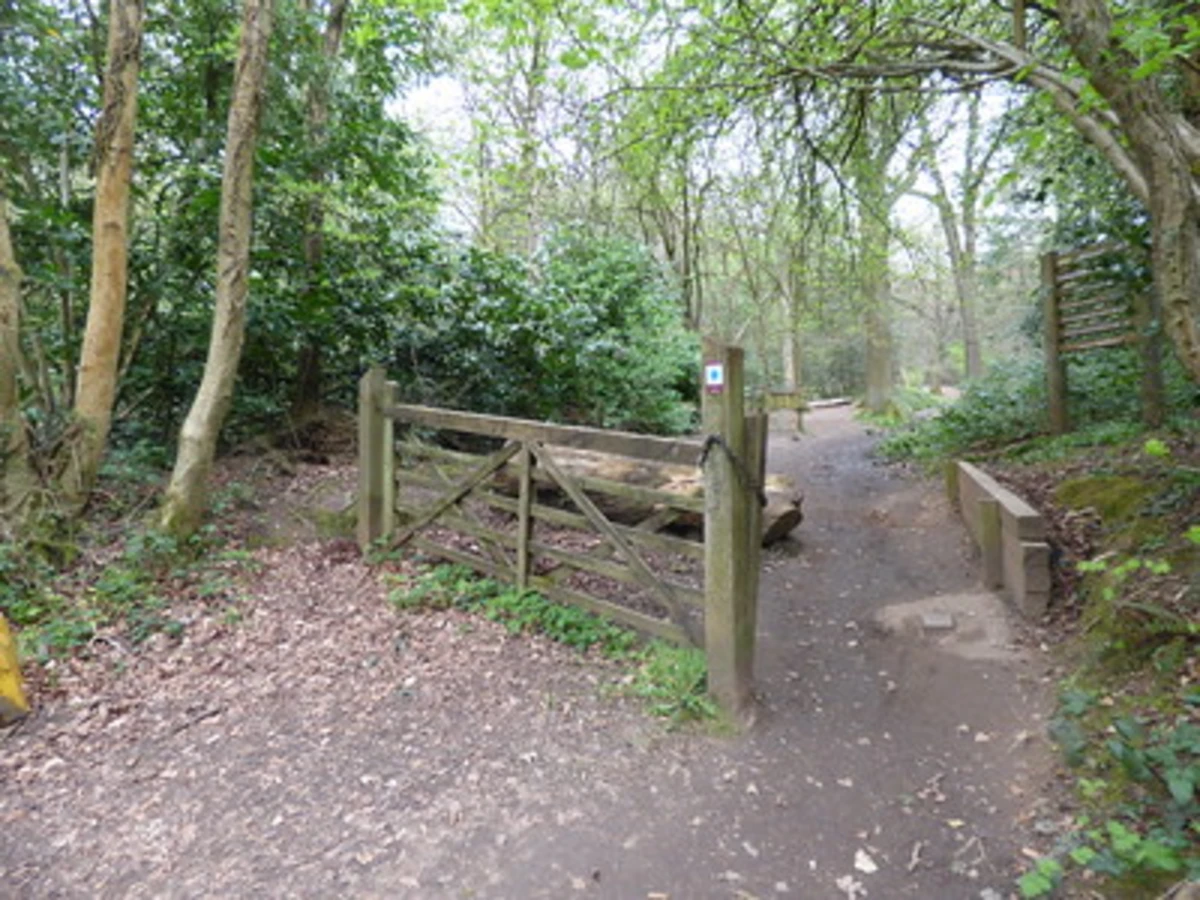 Lickey Hills Country Park Walk
