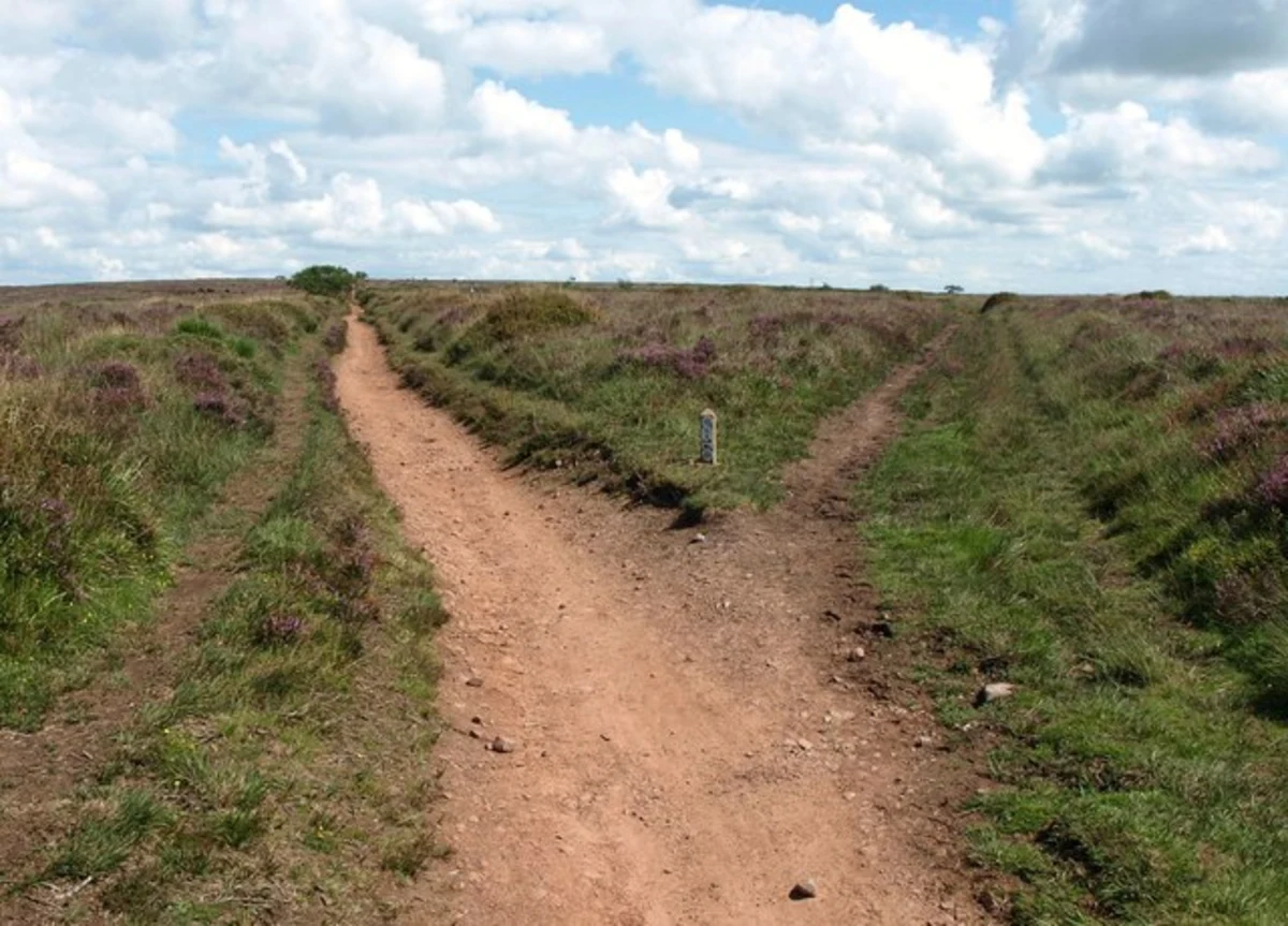 Cheddar, Charterhouse and Rowberrow Warren Wood Loop