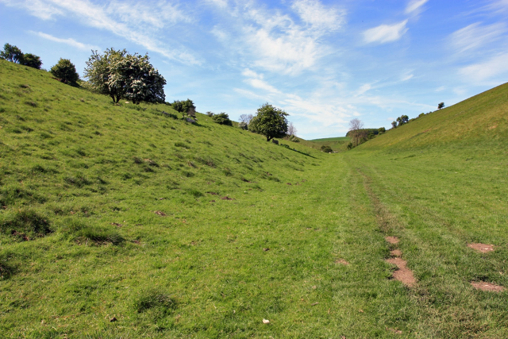 An image depicting the trail Thixendale Loop and its surrounding area.