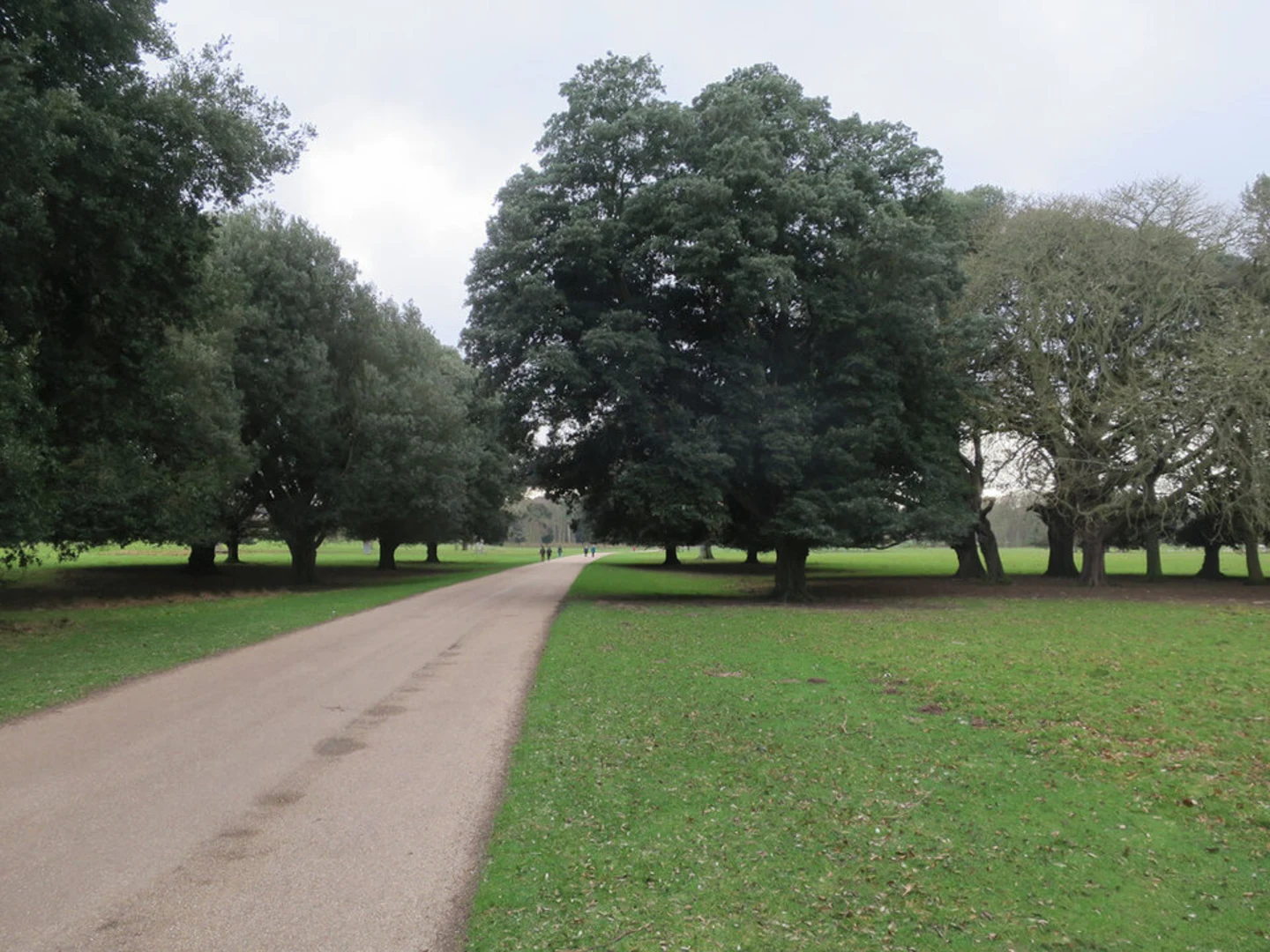 An image depicting the trail Holkham Park Loop and its surrounding area.