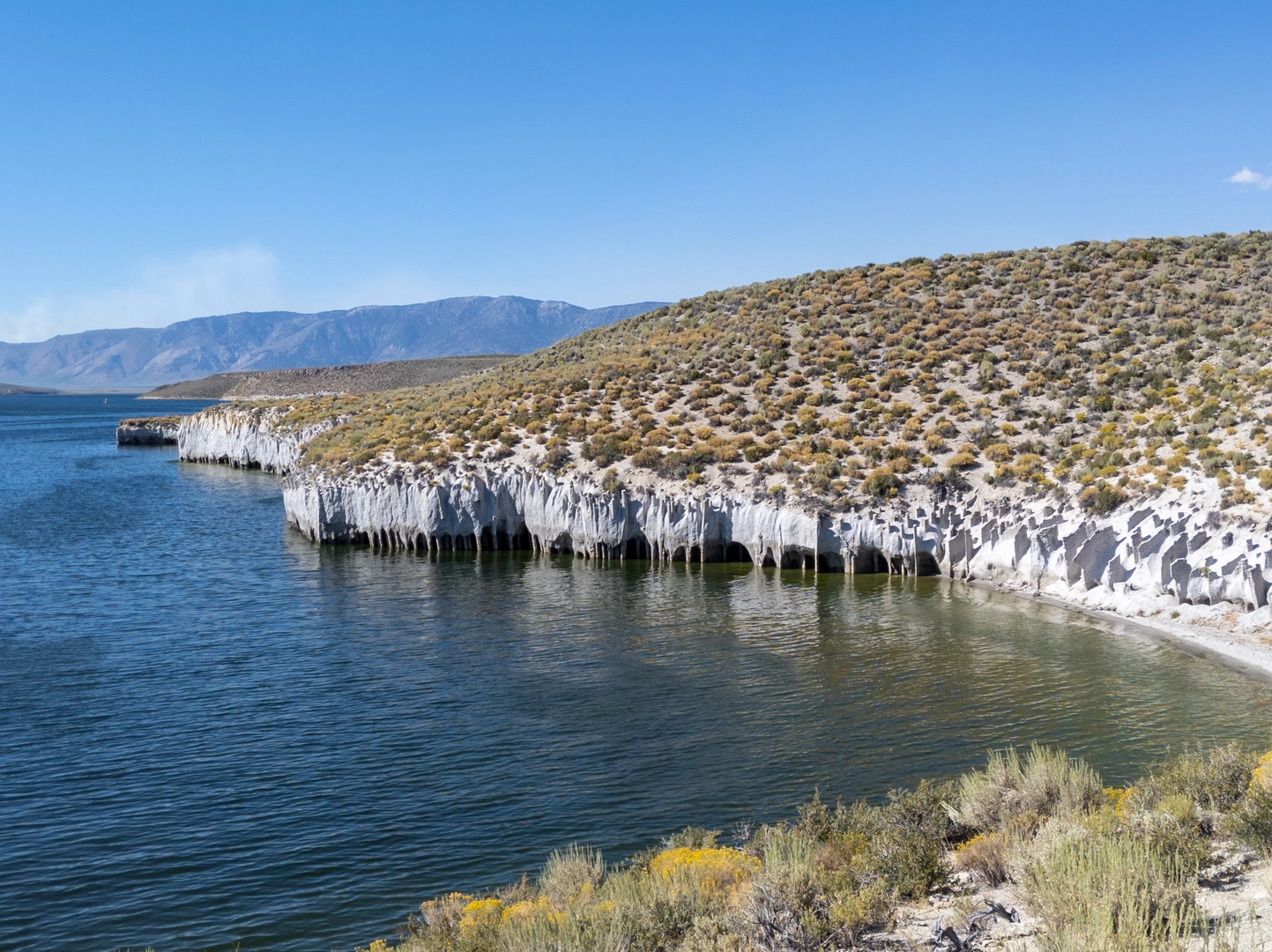 An image depicting the trail Owens River Out and Back and its surrounding area.