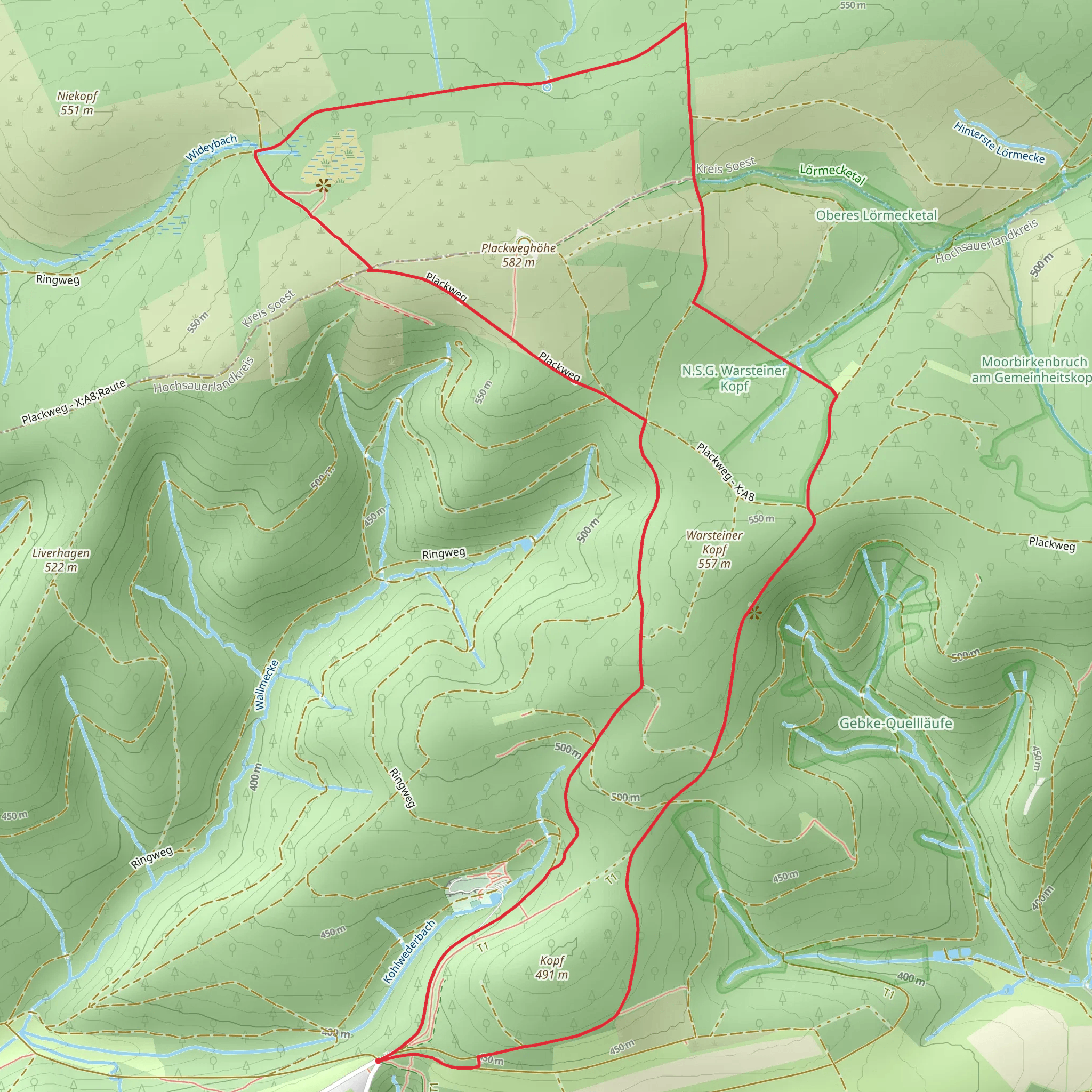 Warsteiner Kopf Loop mobile static map