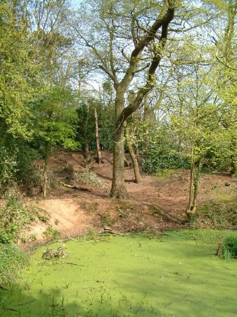 An image depicting the trail Moseley Bog Loop and its surrounding area.