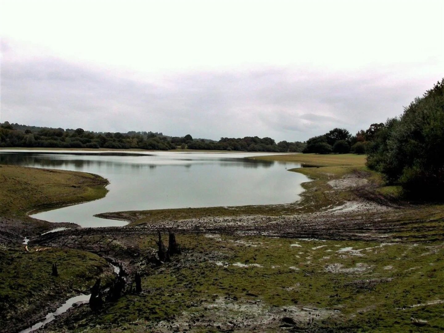 An image depicting the trail Darwell Reservoir Walk and its surrounding area.