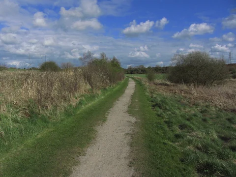 An image depicting the trail Sankey Valley Park Loop and its surrounding area.