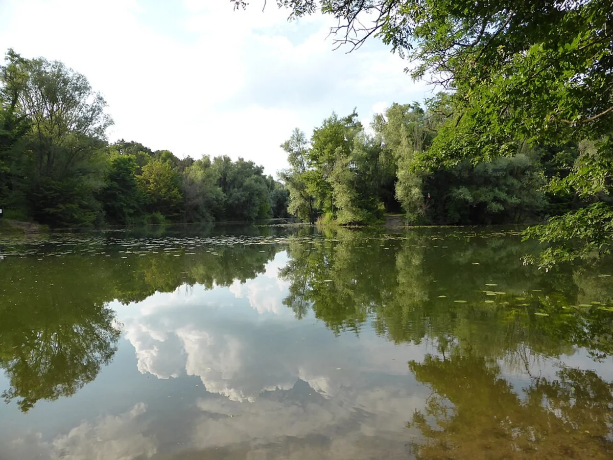 Erlachsee via Ahornweg and Eschenweg