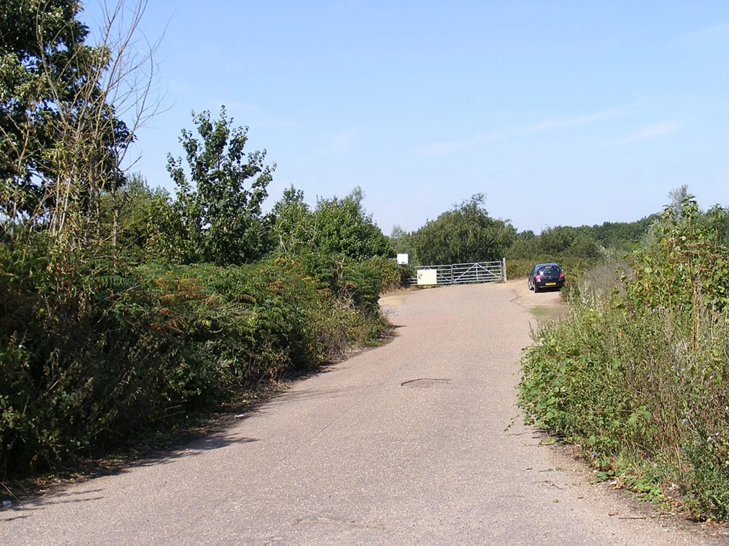 An image depicting the trail Broome Pits Loop and its surrounding area.