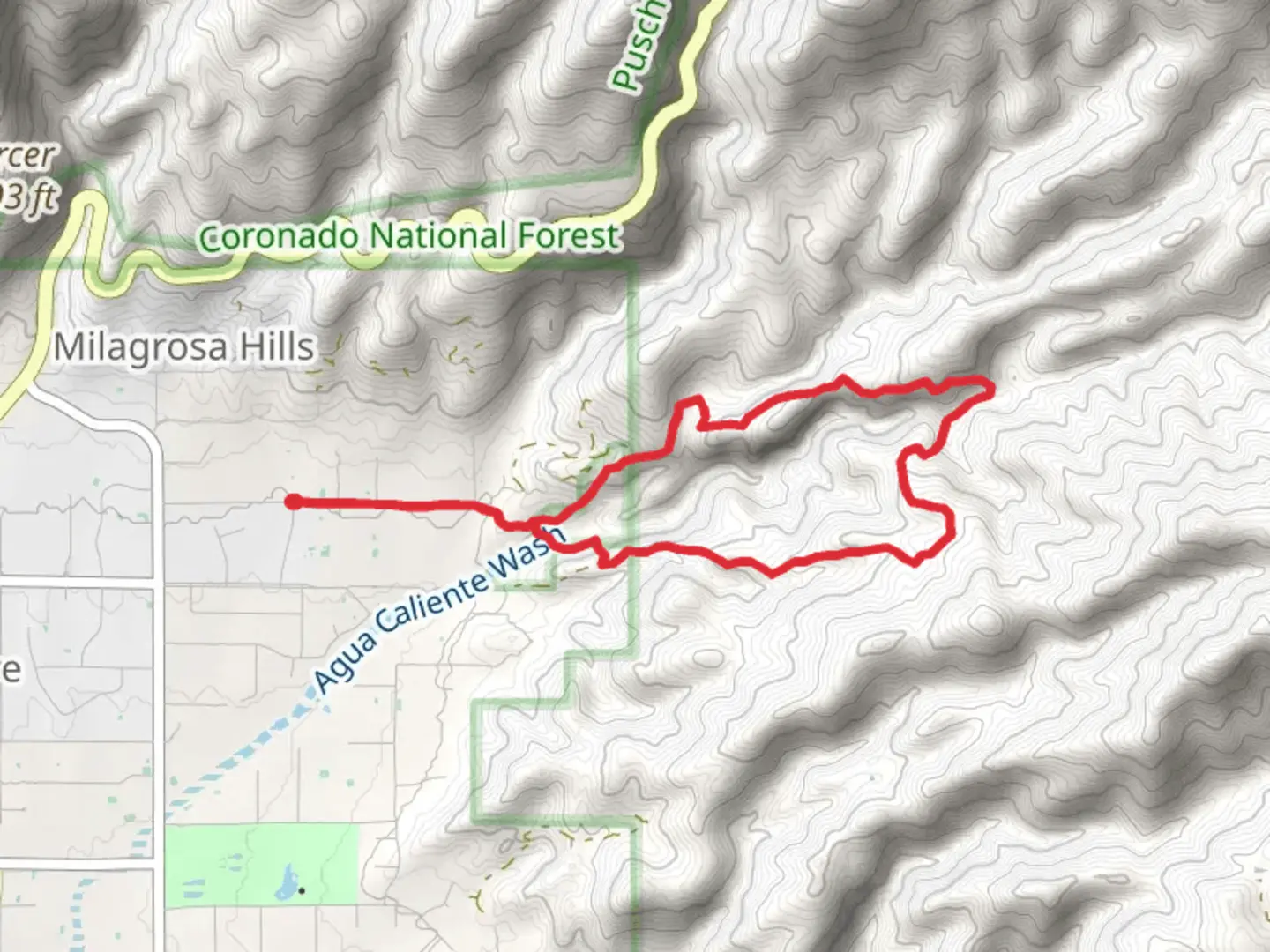 An image depicting the trail La Milagrosa - Agua Caliente Creek and its surrounding area.