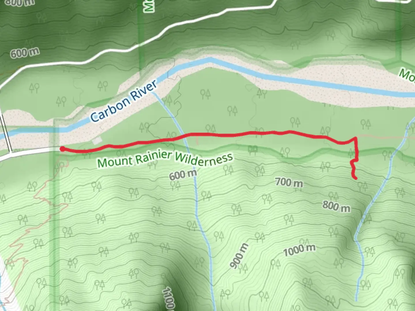 An image depicting the trail Old Mine and Carbon River Trail and its surrounding area.