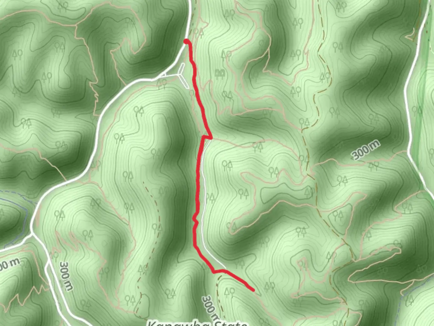 An image depicting the trail Mossy Rock and CCC Snipe Trail and its surrounding area.