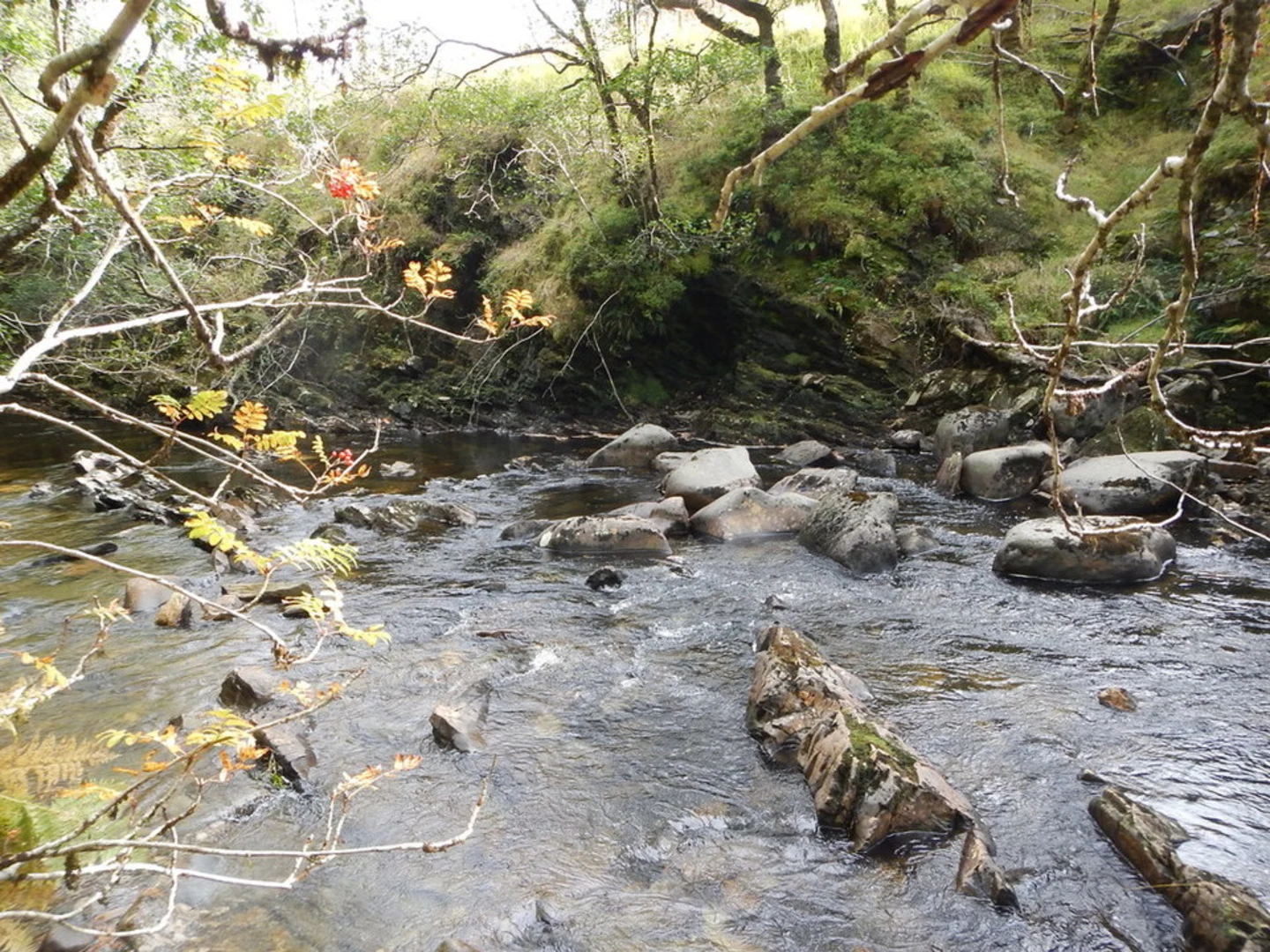 An image depicting the trail River Lochy Falls Loop - Inverlochy and its surrounding area.