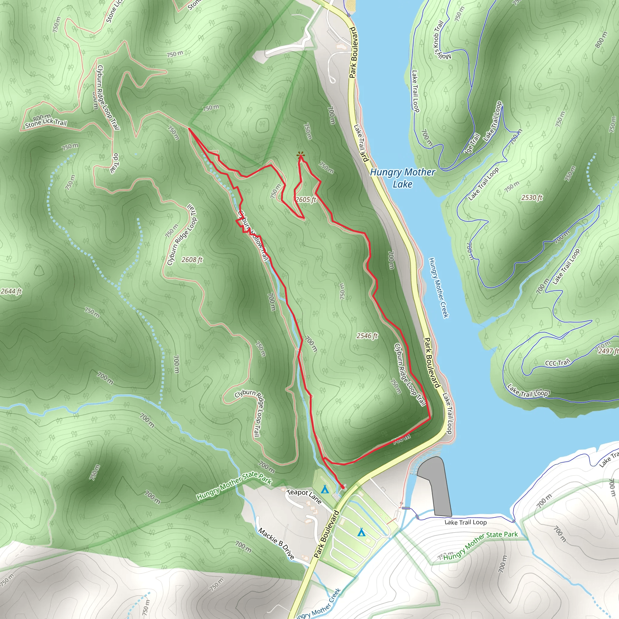 Clyburn Ridge Loop Trail mobile static map