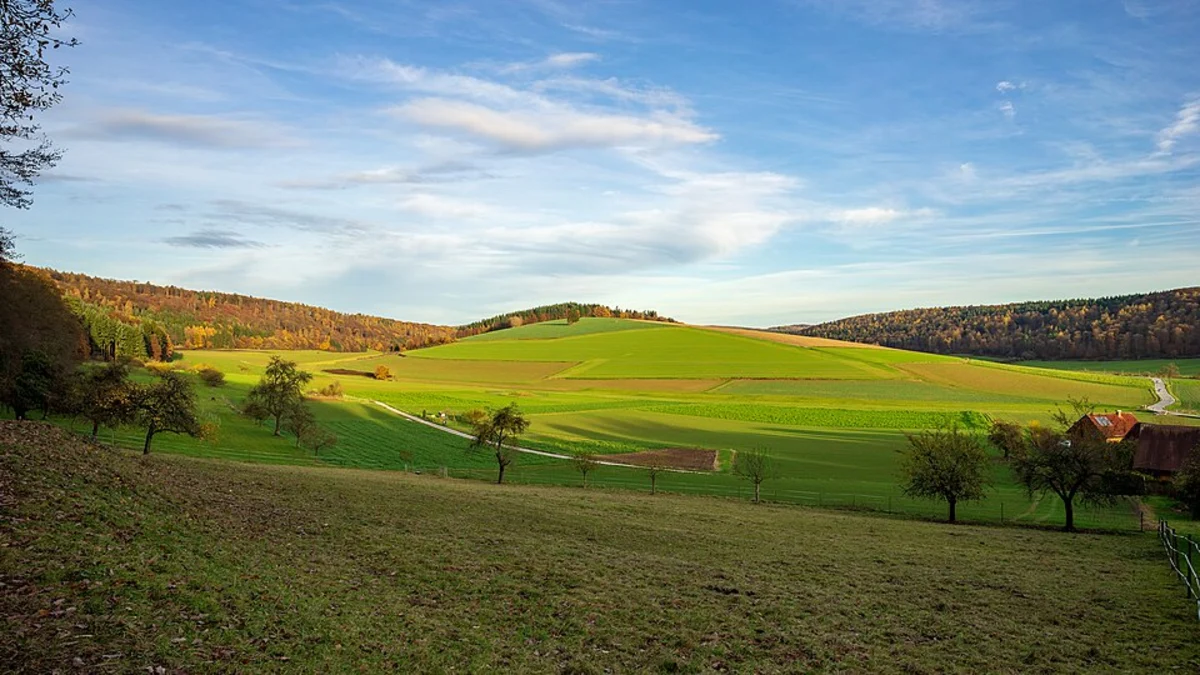 Neckargerach to Mosbach Walk via Schreckberg