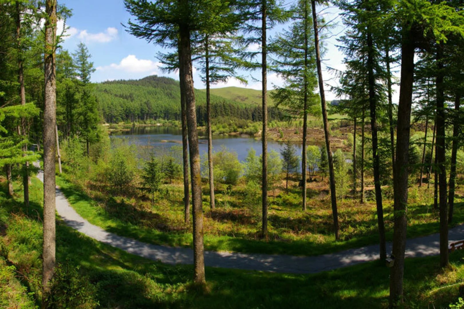 An image depicting the trail Nant Y Arian Loop and its surrounding area.