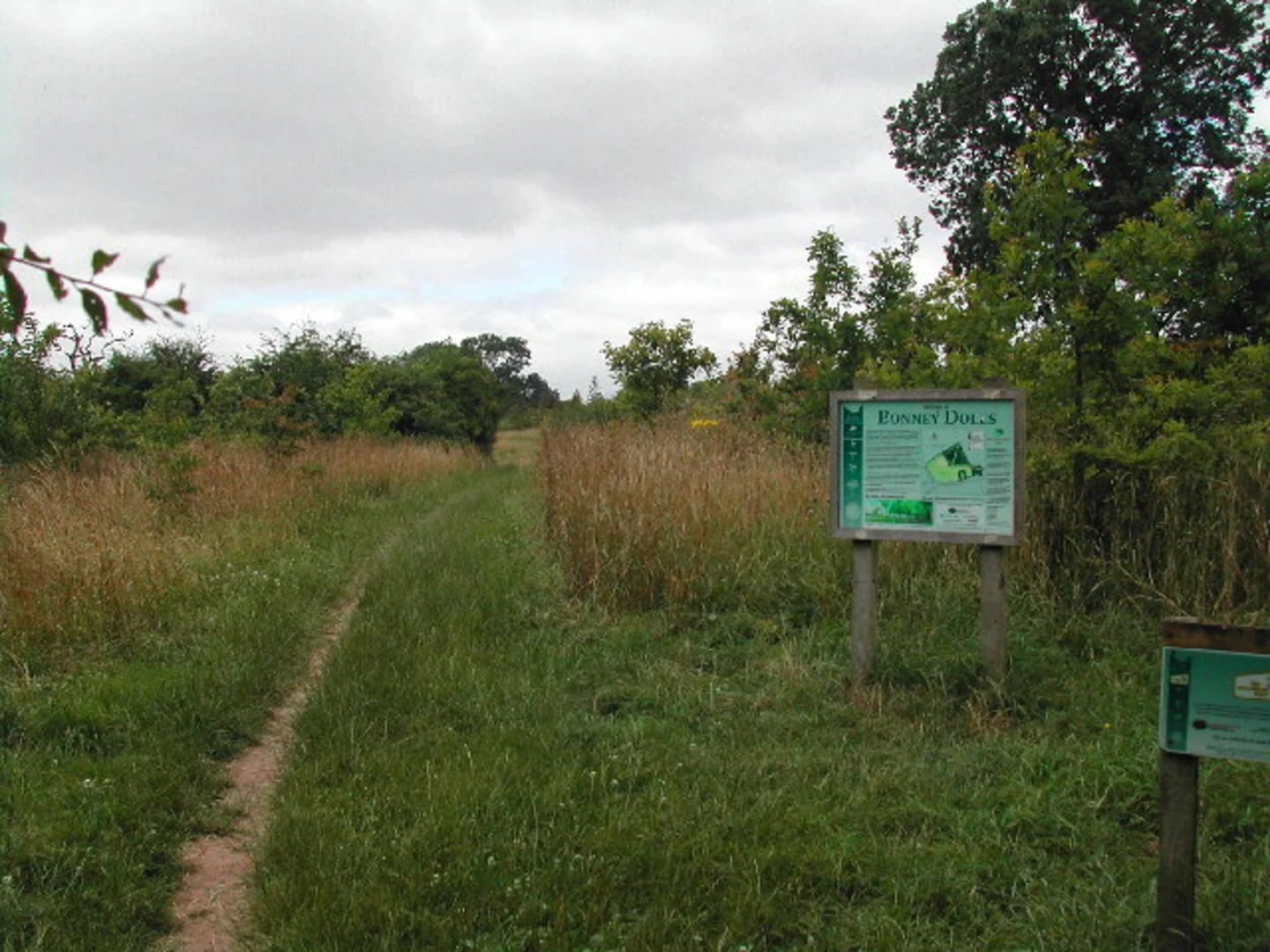 An image depicting the trail Lambley Dumbles Walk and its surrounding area.