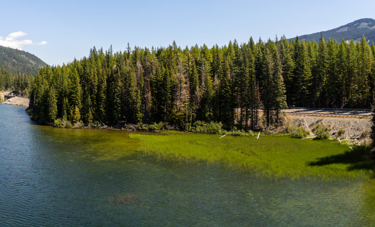 Dumbell Lake via Cramer Lake Trail