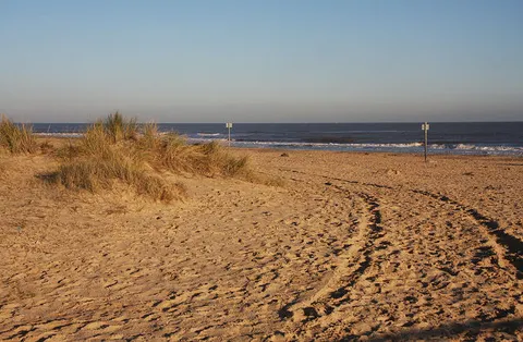 An image depicting the trail The Denes Beach Loop - Southwold and its surrounding area.