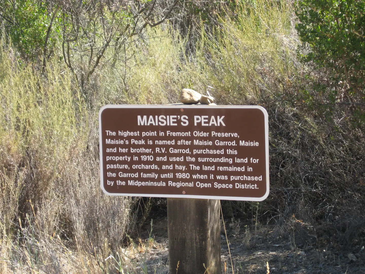 An image depicting the trail Maisie's Peak via Outlook Cut Off Trail and its surrounding area.