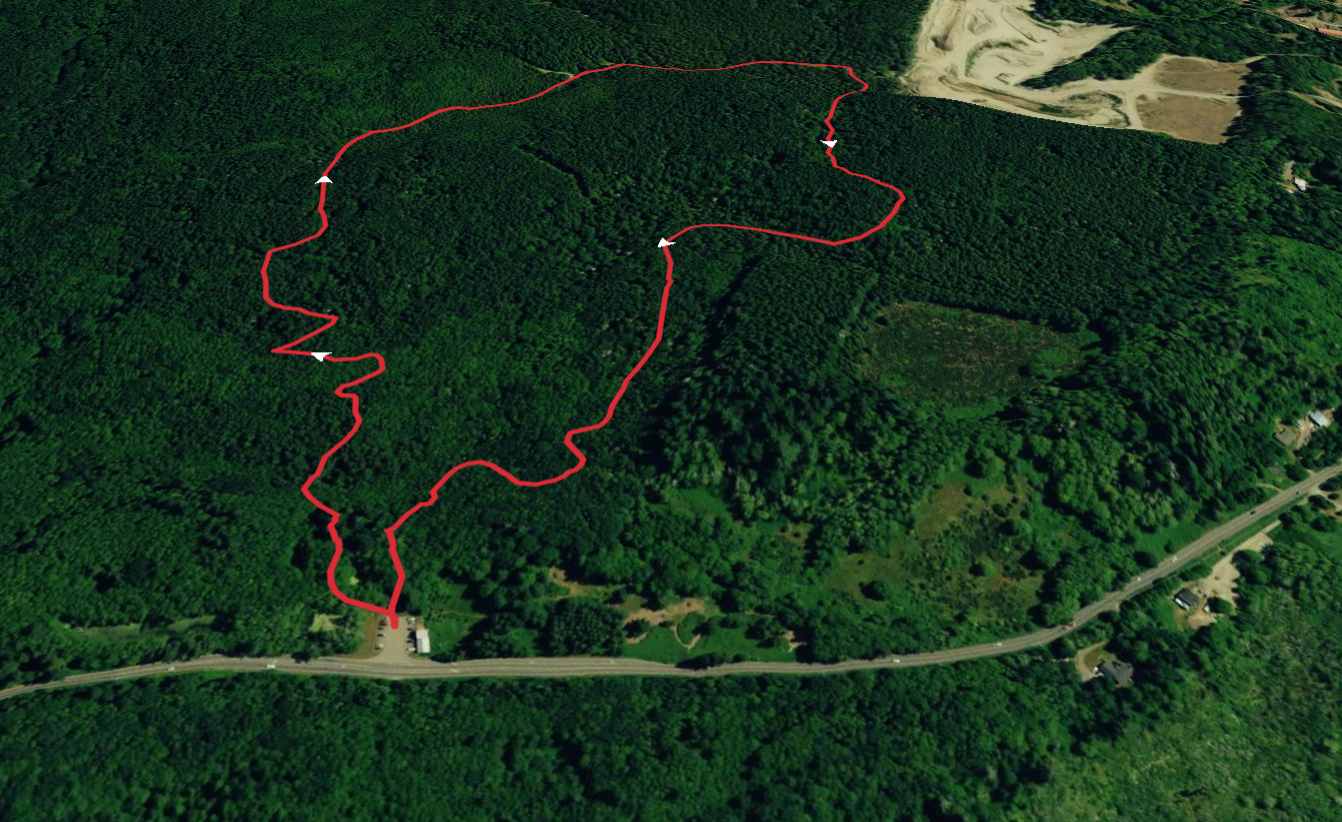 Spine Line and Boundary Loop Trail