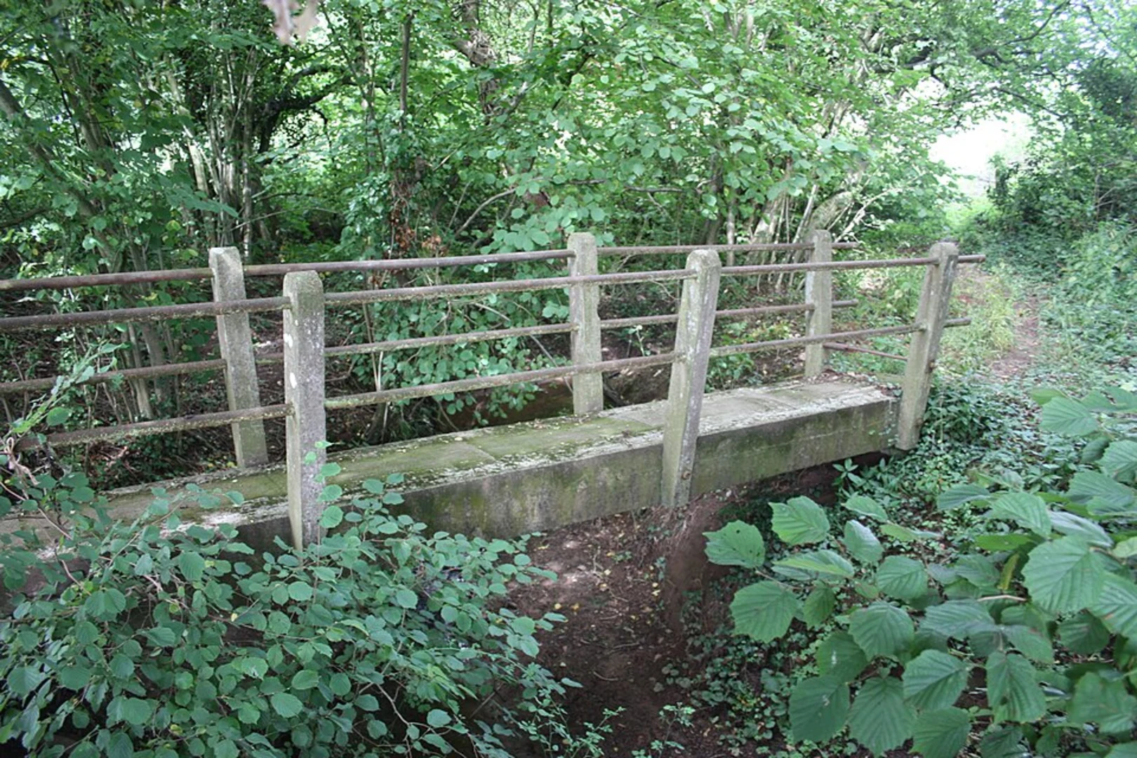 An image depicting the trail Starvale Woods, Wokefield Common and Stratfield Mortimer Country Park Loop and its surrounding area.