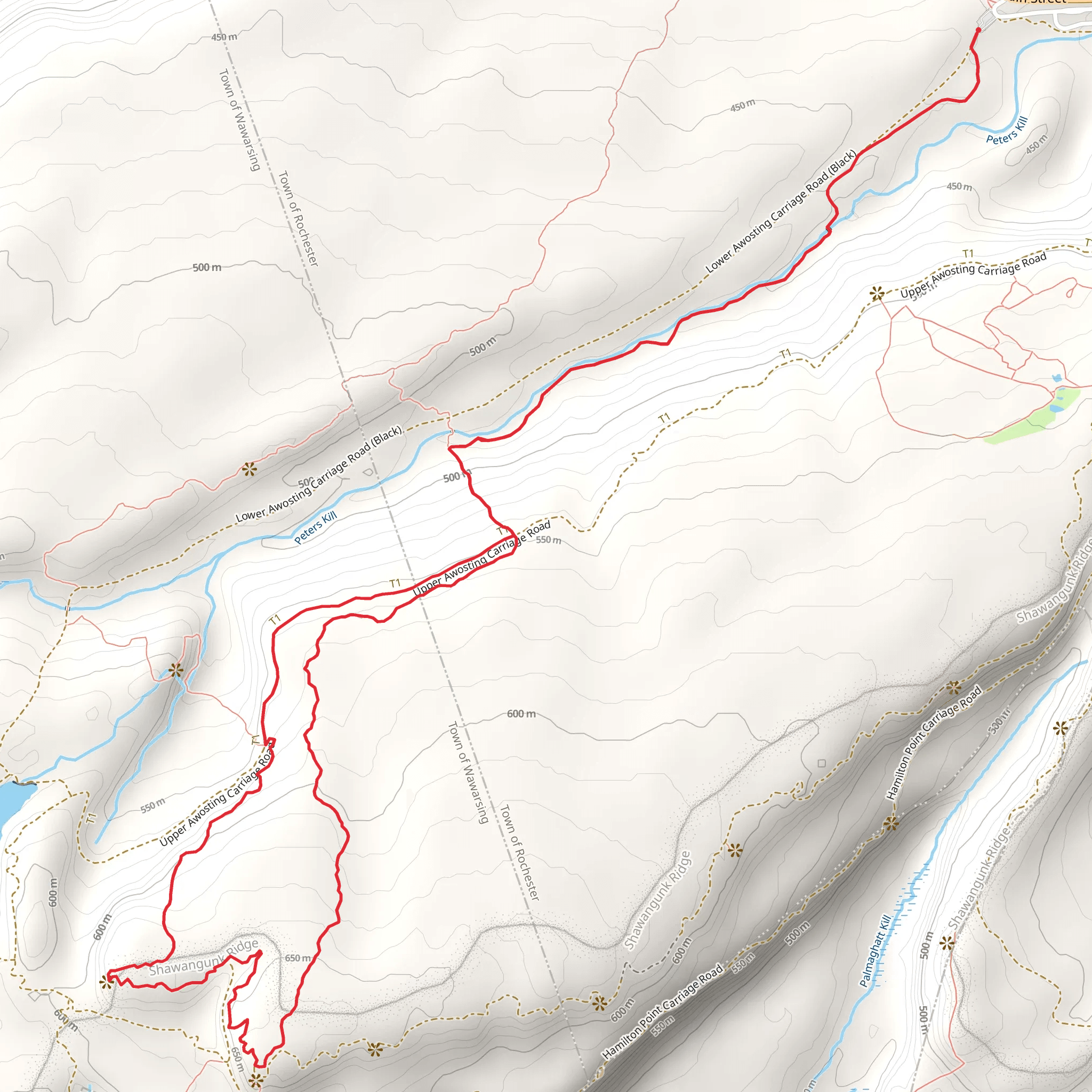 Castle Point Loop Trail mobile static map