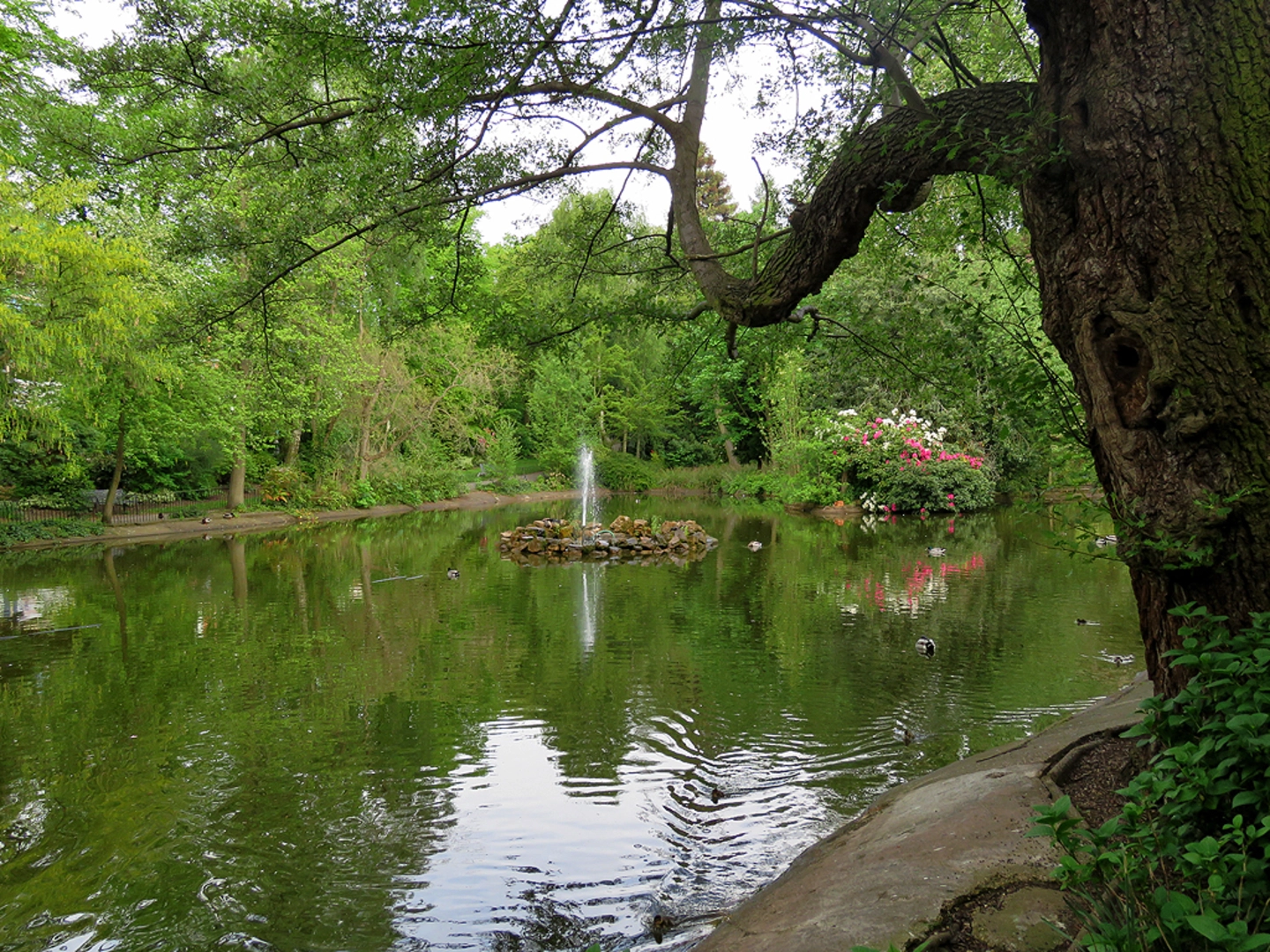 An image depicting the trail Nottingham Arboretum Loop and its surrounding area.