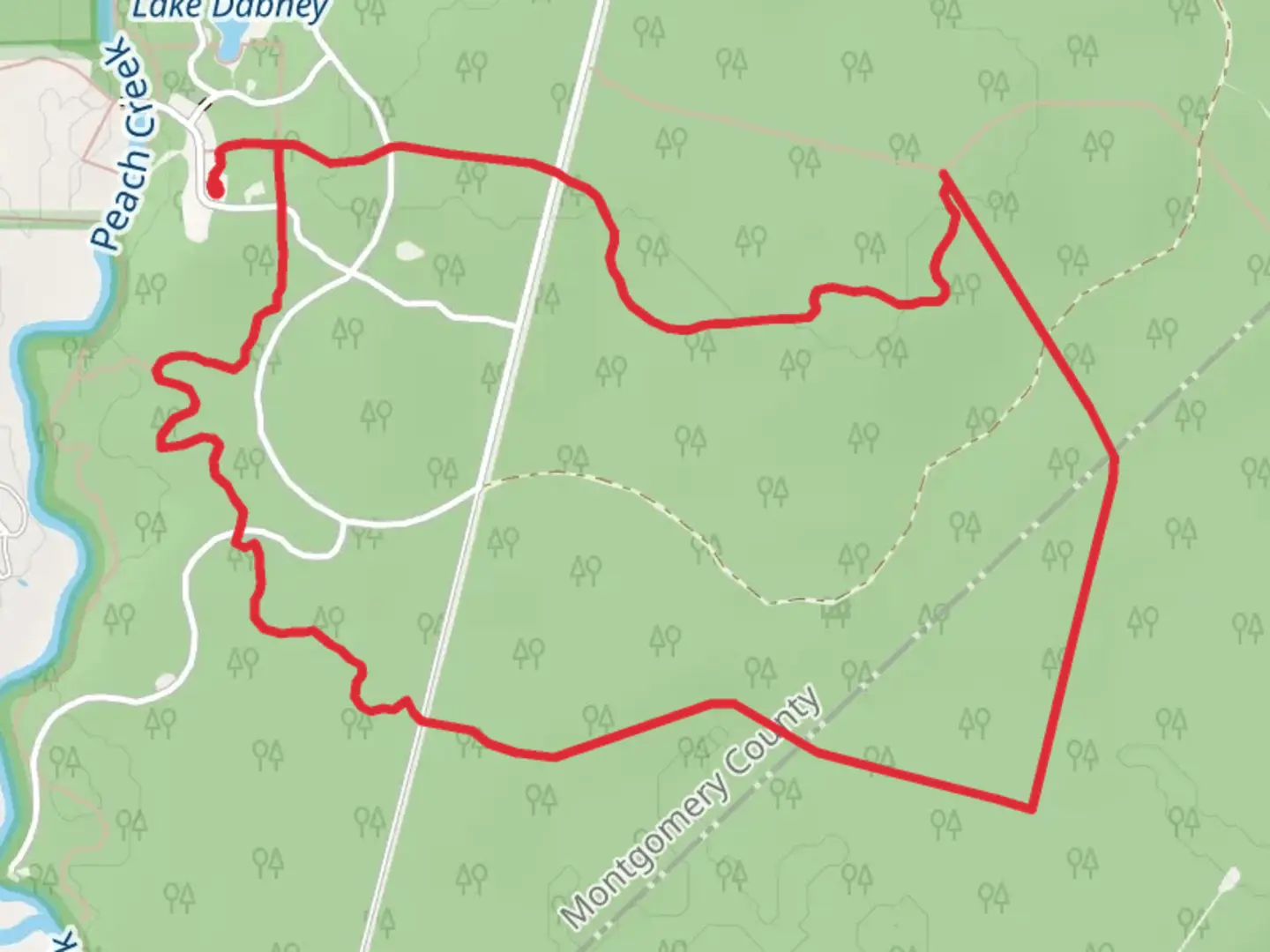 An image depicting the trail Loggers Loop Trail and its surrounding area.