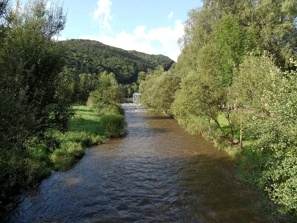 Waldbreitbach to Arienheller Walk via Malberg and Rundwanderweg Hausen