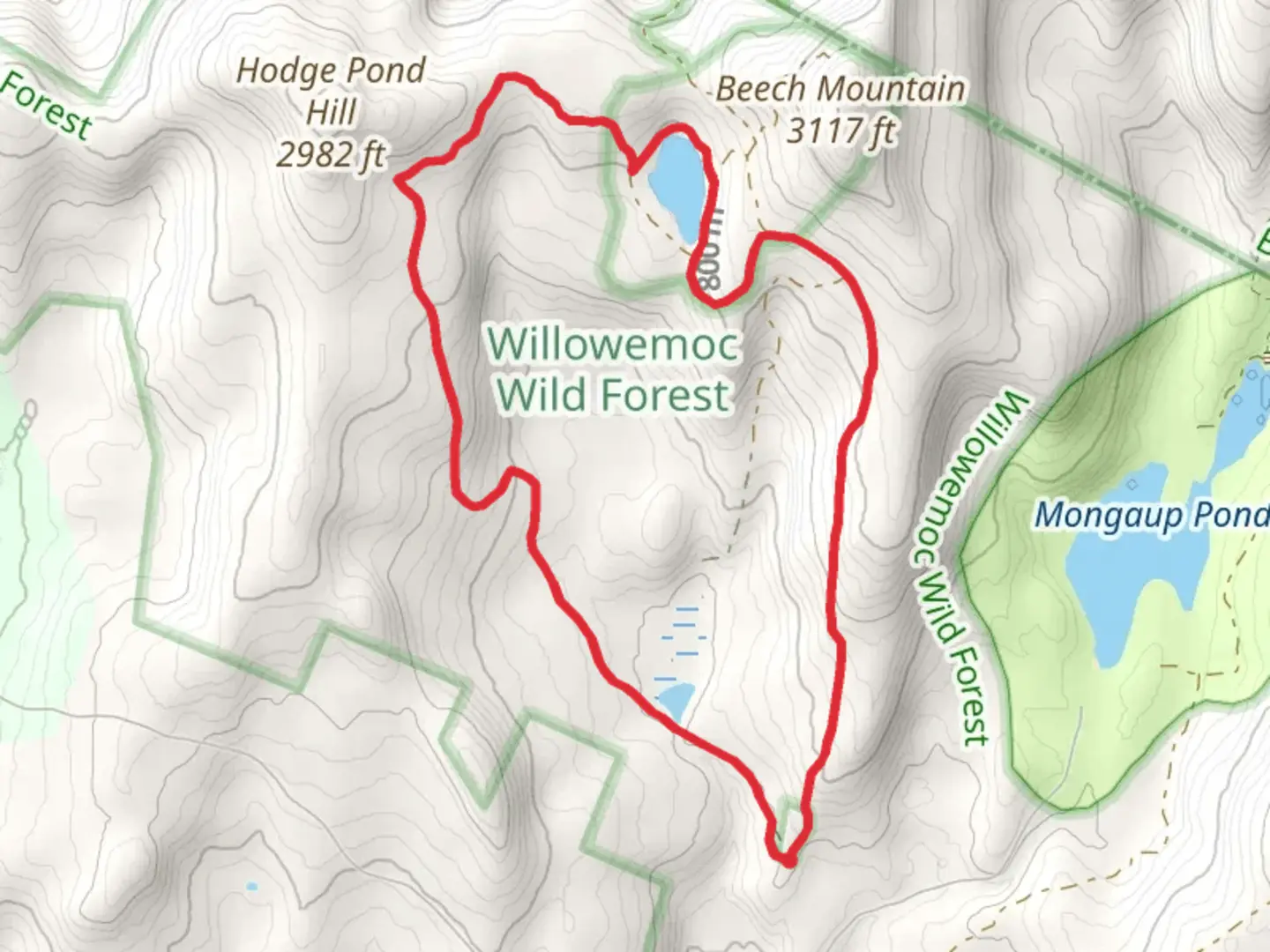 An image depicting the trail Hodge Pond Loop and its surrounding area.