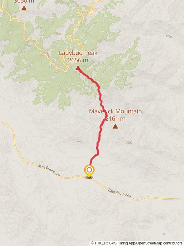 Ladybug Peak via Bear Canyon Trail