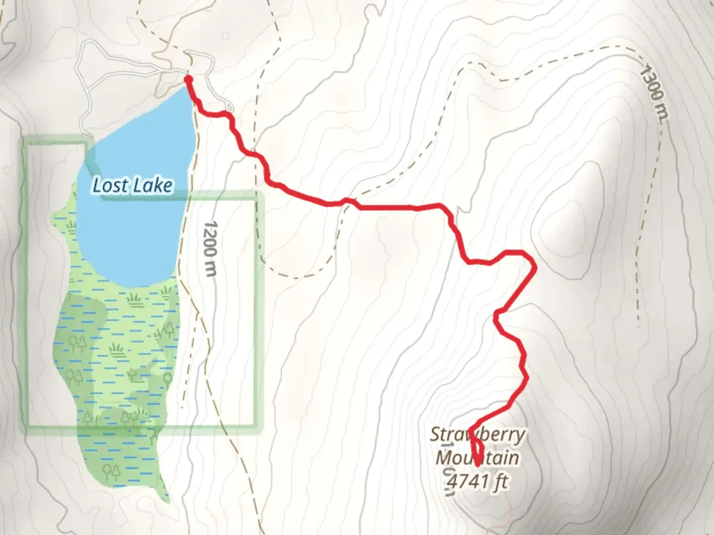 An image depicting the trail Strawberry Mountain Trail and its surrounding area.