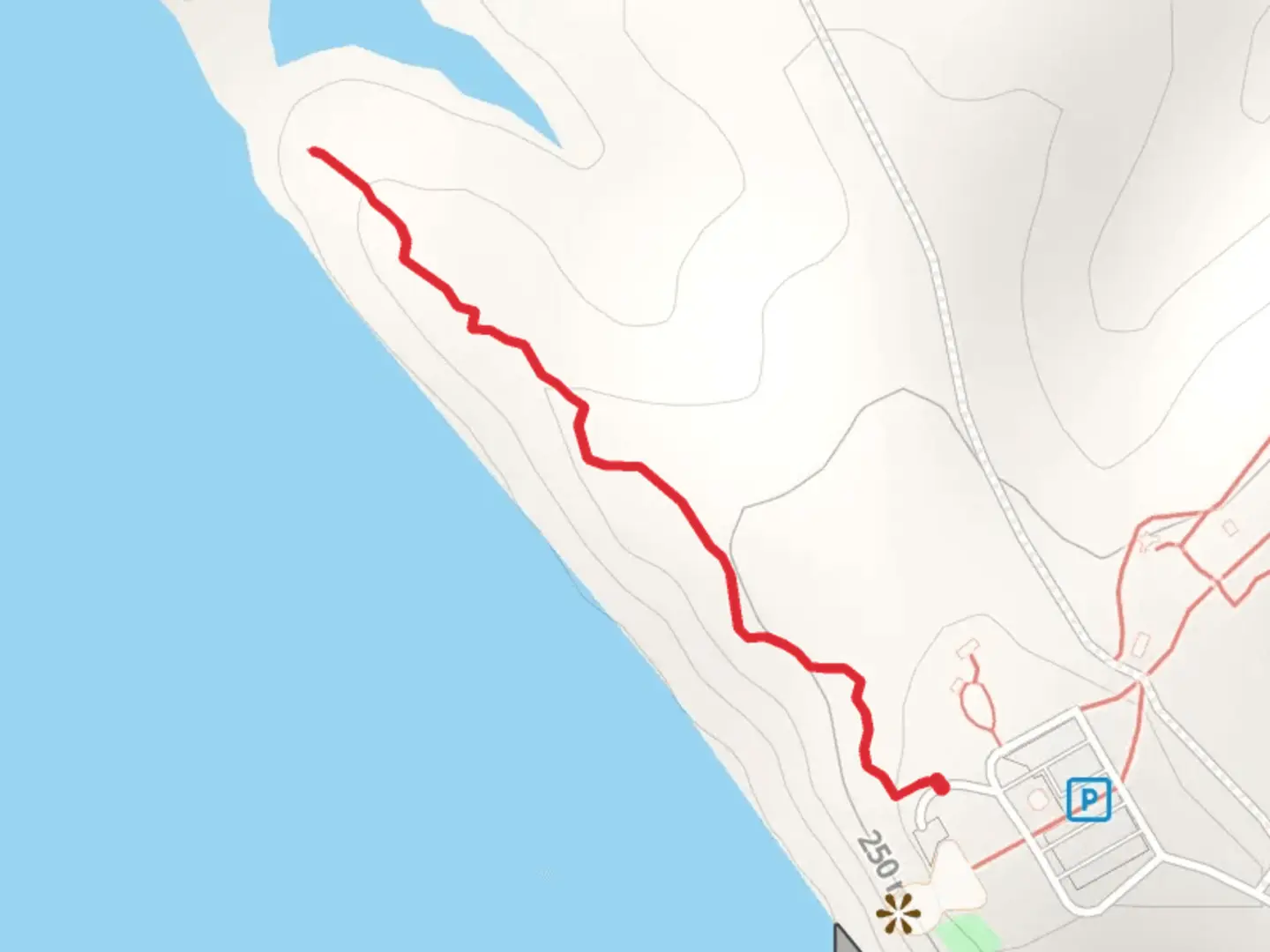 An image depicting the trail Saddle Horn Walking Trail and its surrounding area.