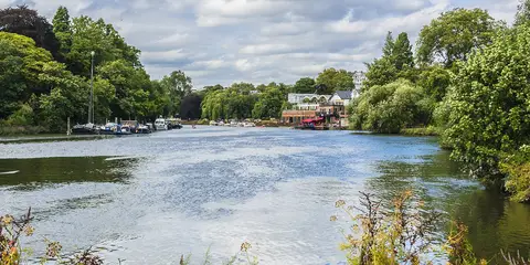 An image depicting the trail Capital Ring and its surrounding area.