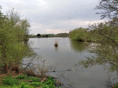 An image depicting the trail Redhill and Earlswood Common Loop and its surrounding area.