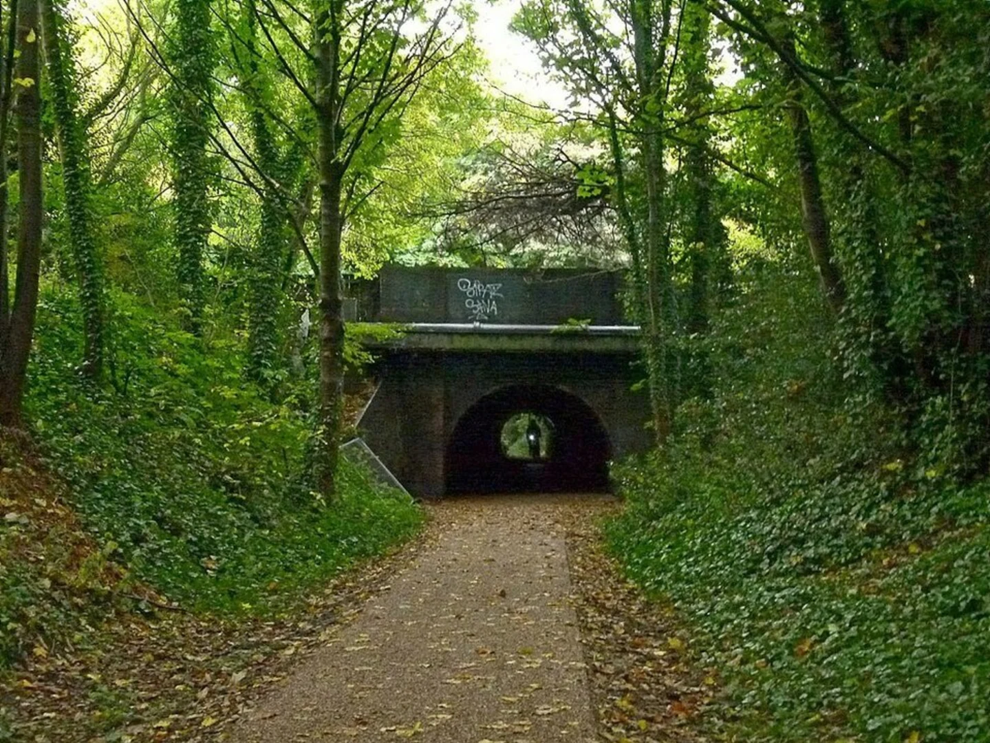 An image depicting the trail Harborne Walkway and its surrounding area.