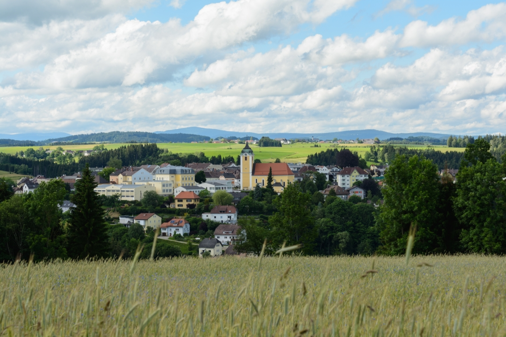 An image depicting the trail Schallenburg Castle Ruins Tour and its surrounding area.