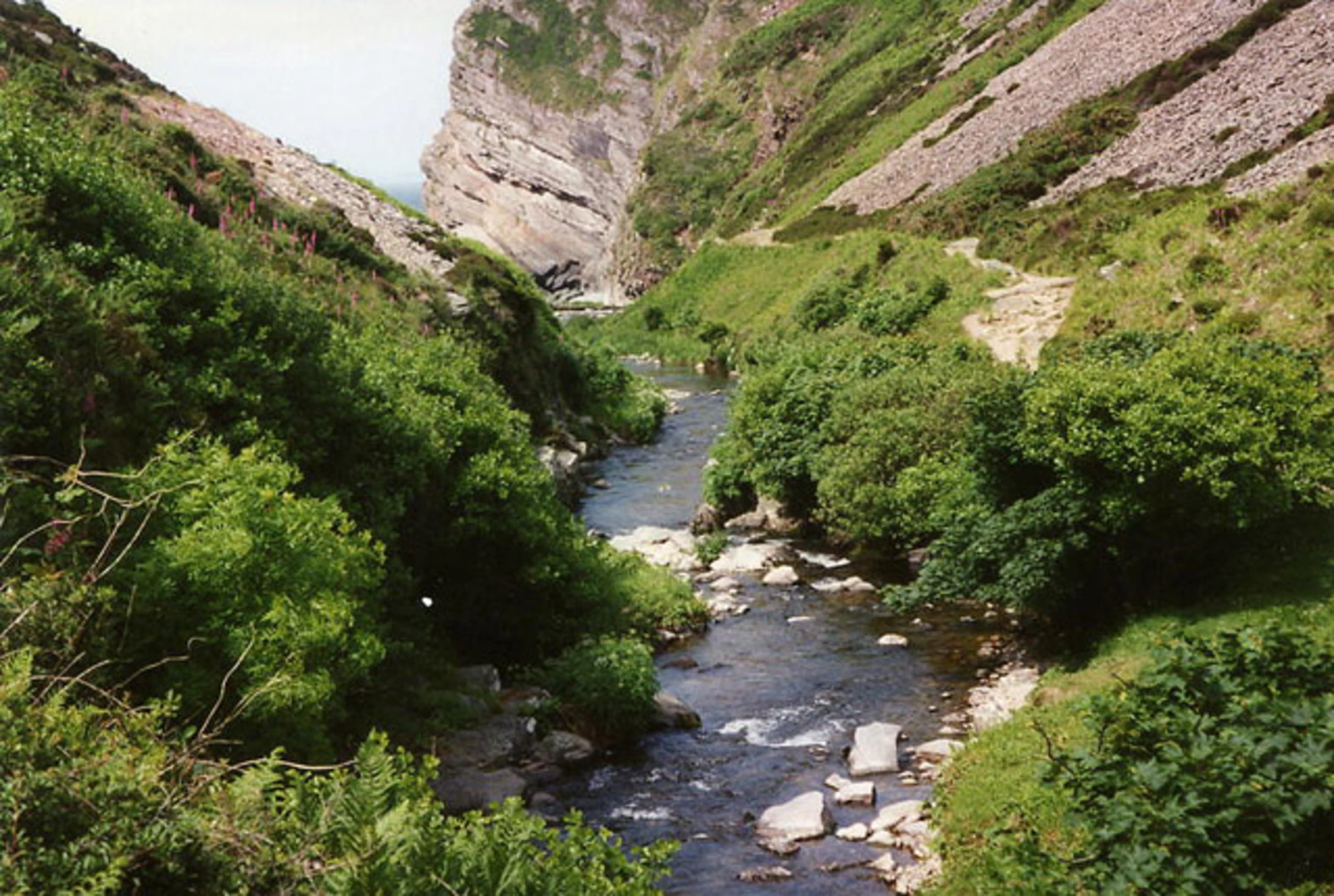 An image depicting the trail Heddon's Mouth - Heddon Valley National Trust and its surrounding area.