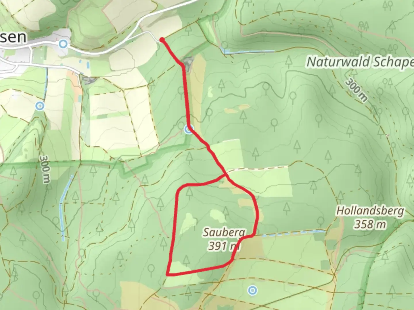 An image depicting the trail Sauberg Loop and its surrounding area.