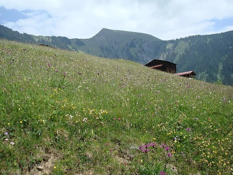 An image depicting the trail Panyer Rundweg and its surrounding area.