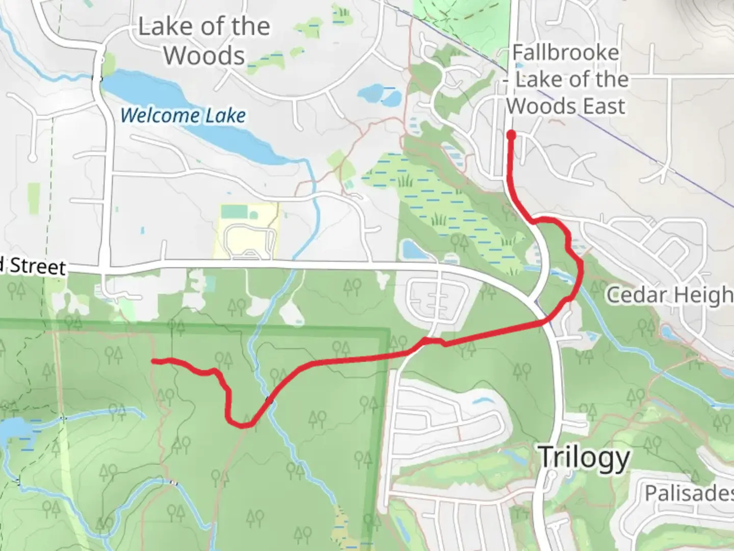 An image depicting the trail Collin Creek Trail Out and Back and its surrounding area.