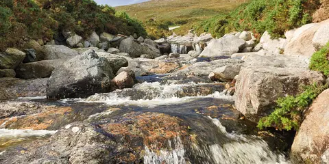An image depicting the trail Bloody Bridge Coastal Route and its surrounding area.
